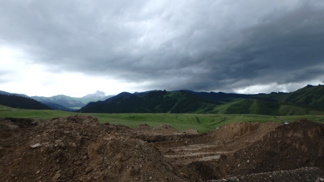 OLYMPUS DIGITAL CAMERA